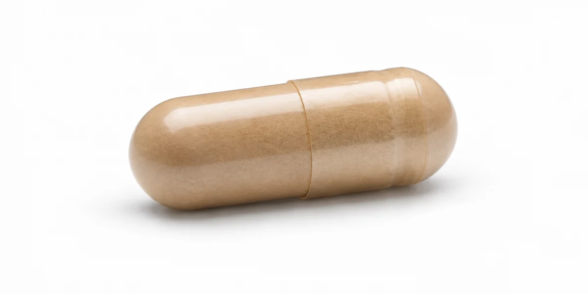 Cordyceps dosage form close-up