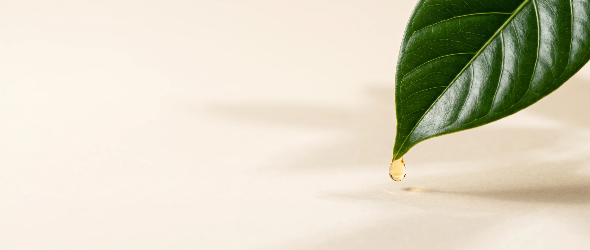 A glowing droplet suspended from a green leaf