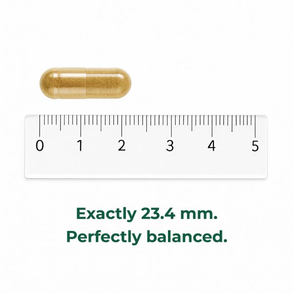 LYMPHATIC HEALTH® Lymphatic System Drainage Supplement - Image 4
