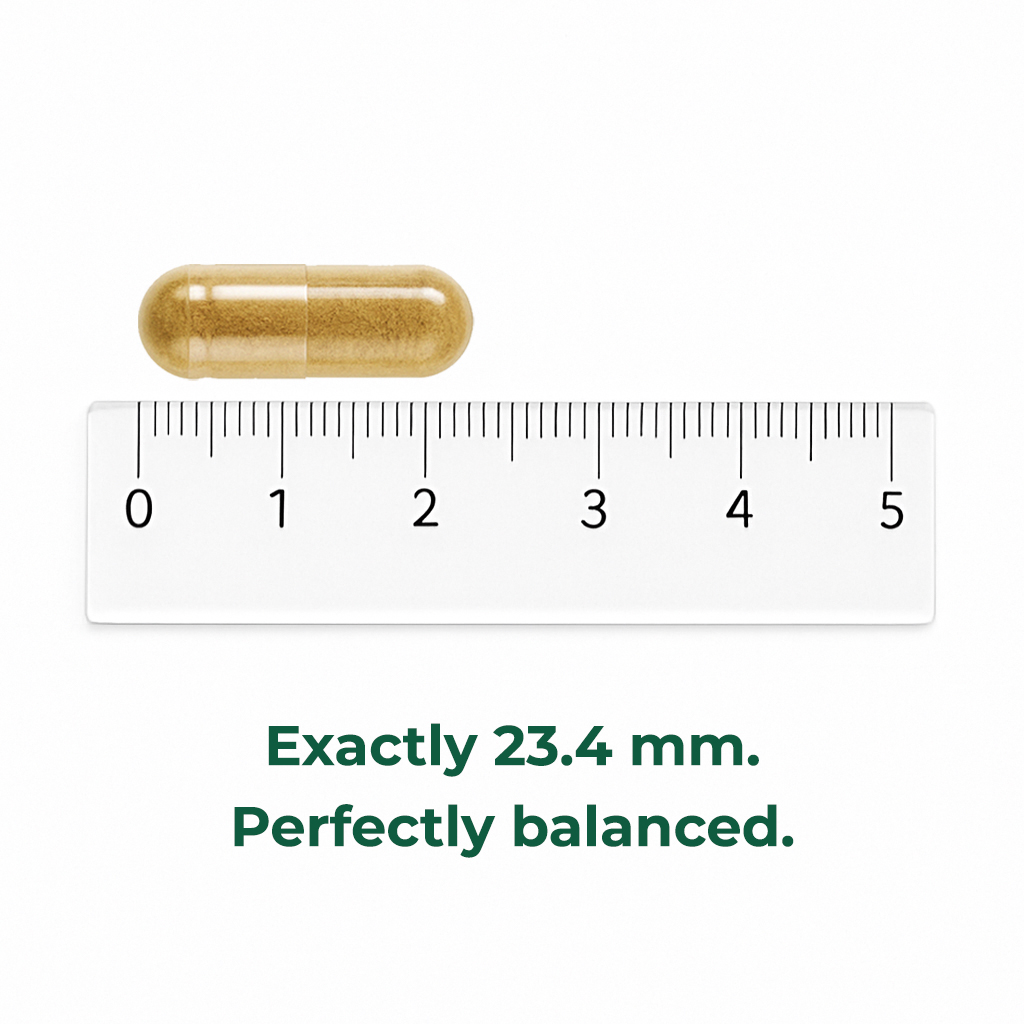 ARTROFORTE – Supplement for Healthy Joints - Image 4