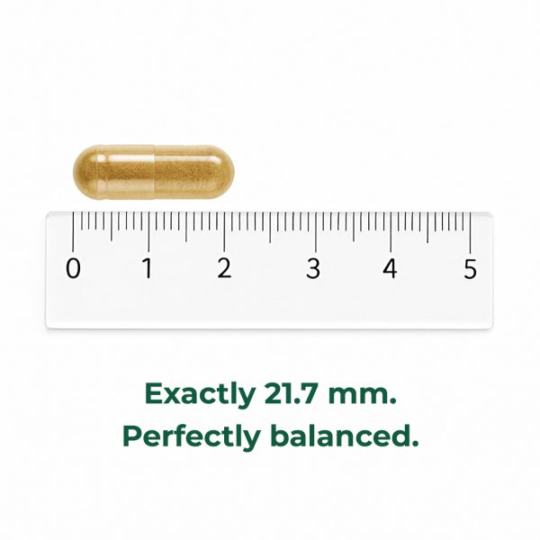 KOREAN GINSENG 2000 mg - Vitality and Balance! - Image 4