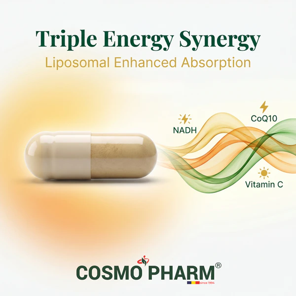 NADH + COENZYME Q10 + VITAMIN C - Liposomal Trio - Image 5